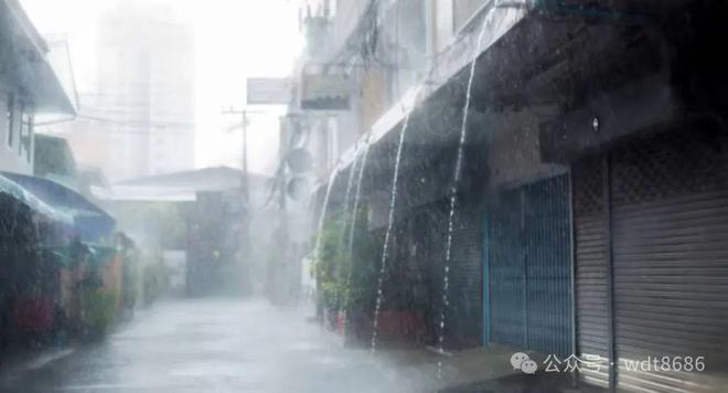 怕三月初十晴”明日有啥预兆？瓦利棋牌“不怕三月初十雨就(图4)